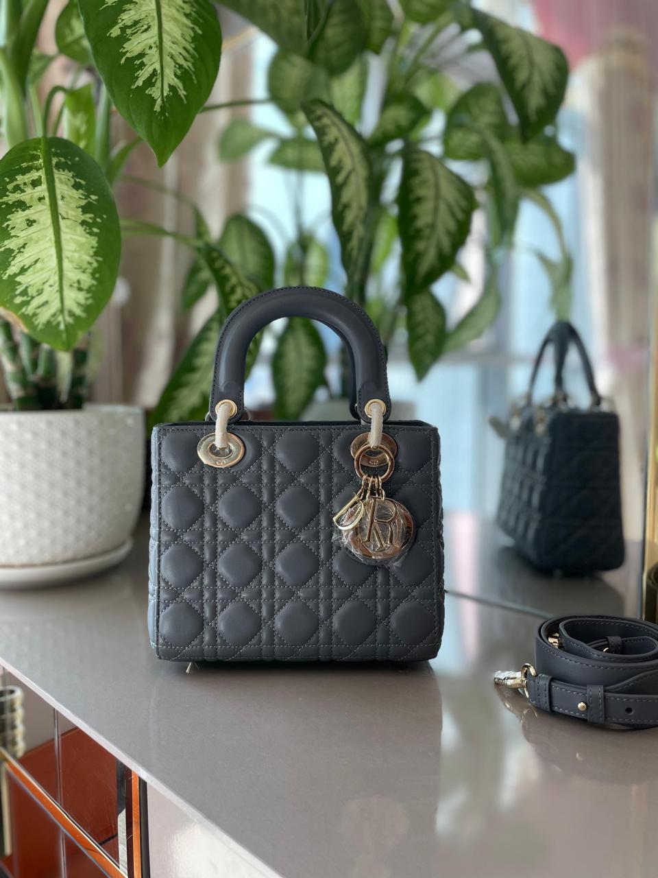 Ladies Dior bags Lilly Onlines