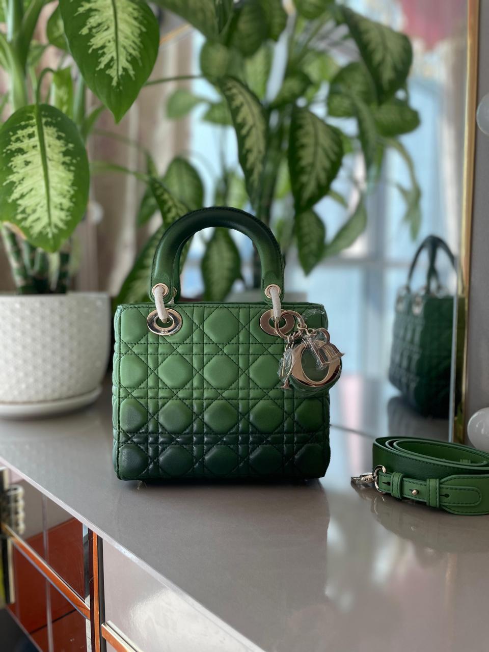 Ladies Dior bags Lilly Onlines