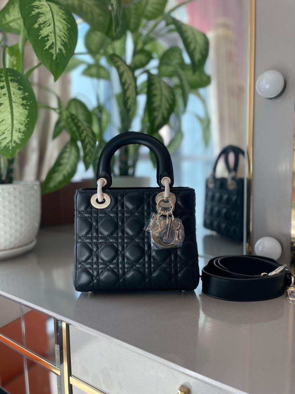 Ladies Dior bags Lilly Onlines