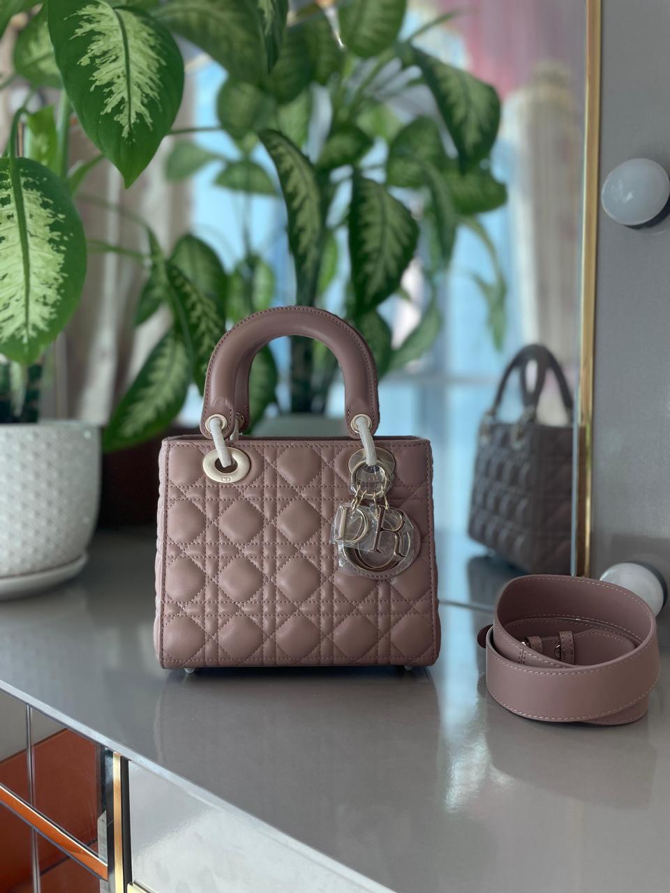 Ladies Dior bags Lilly Onlines