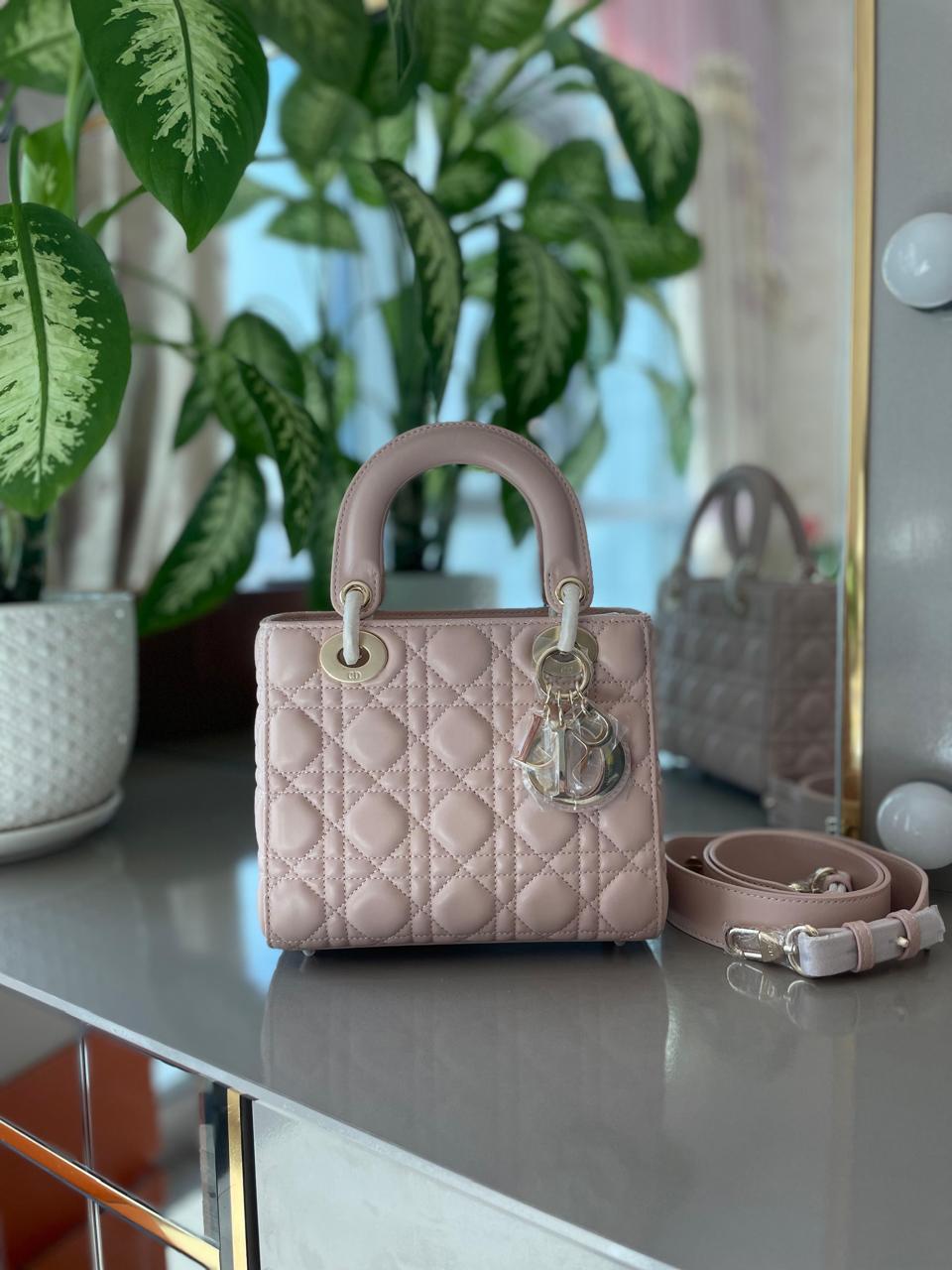 Ladies Dior bags Lilly Onlines
