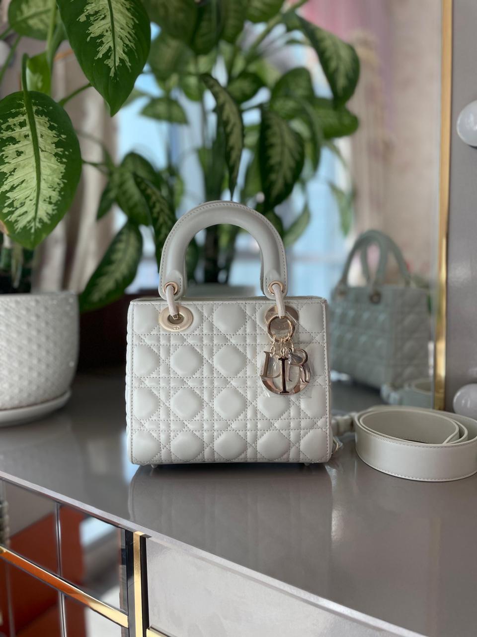 Ladies Dior bags Lilly Onlines