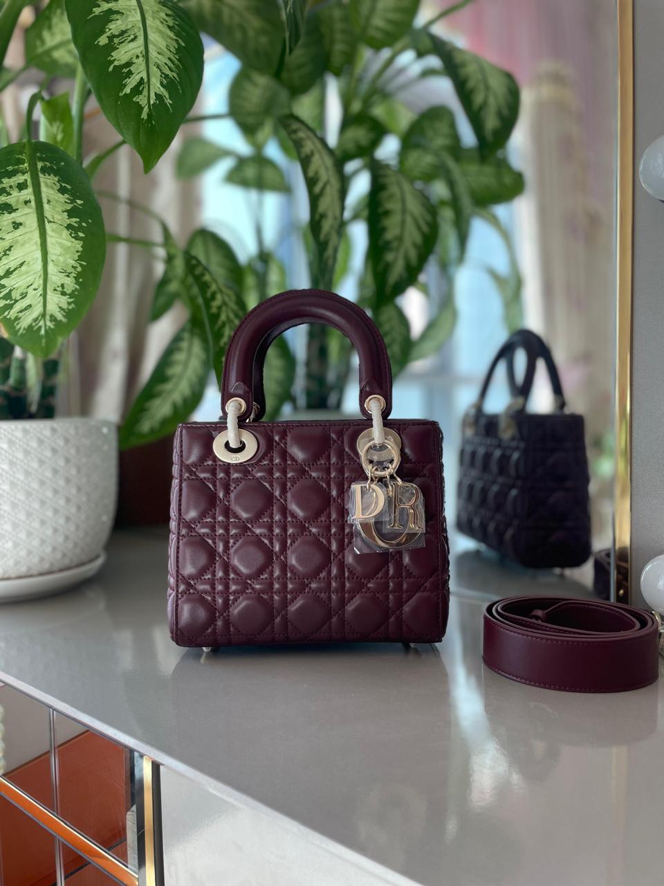 Ladies Dior bags Lilly Onlines