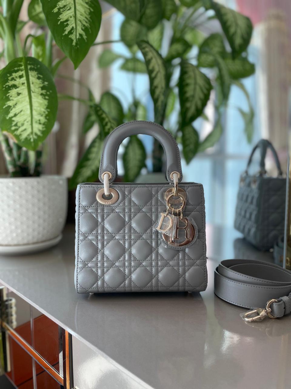 Ladies Dior bags Lilly Onlines