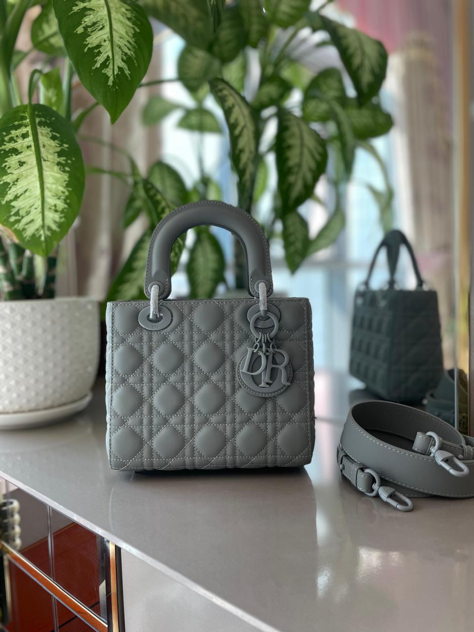 Ladies Dior bags Lilly Onlines