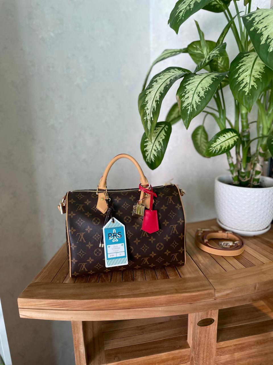 Ladies Lv bags Lilly Onlines