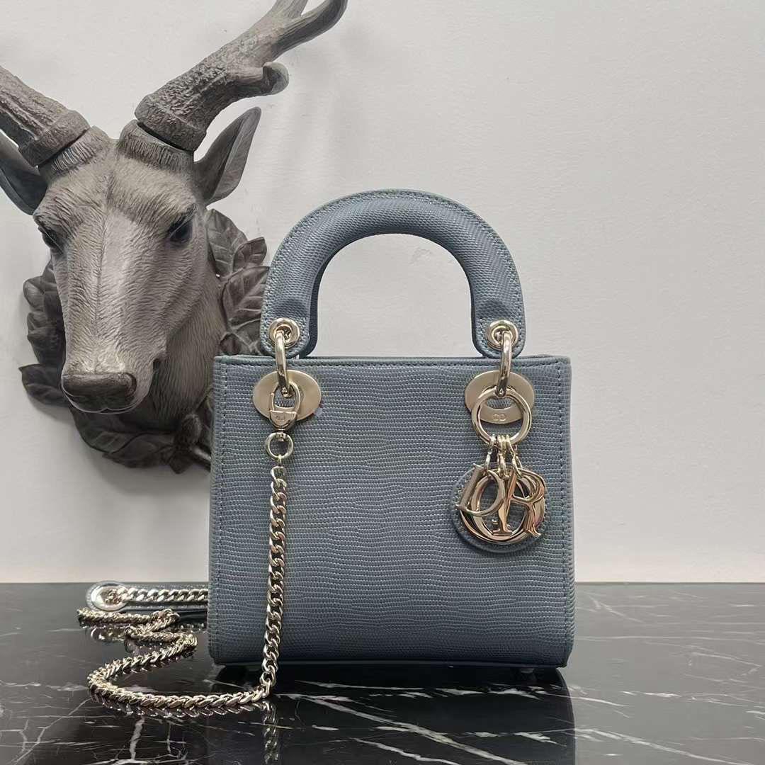 Ladies dior bags Lilly Onlines