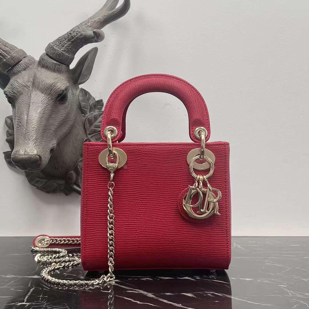 Ladies dior bags Lilly Onlines