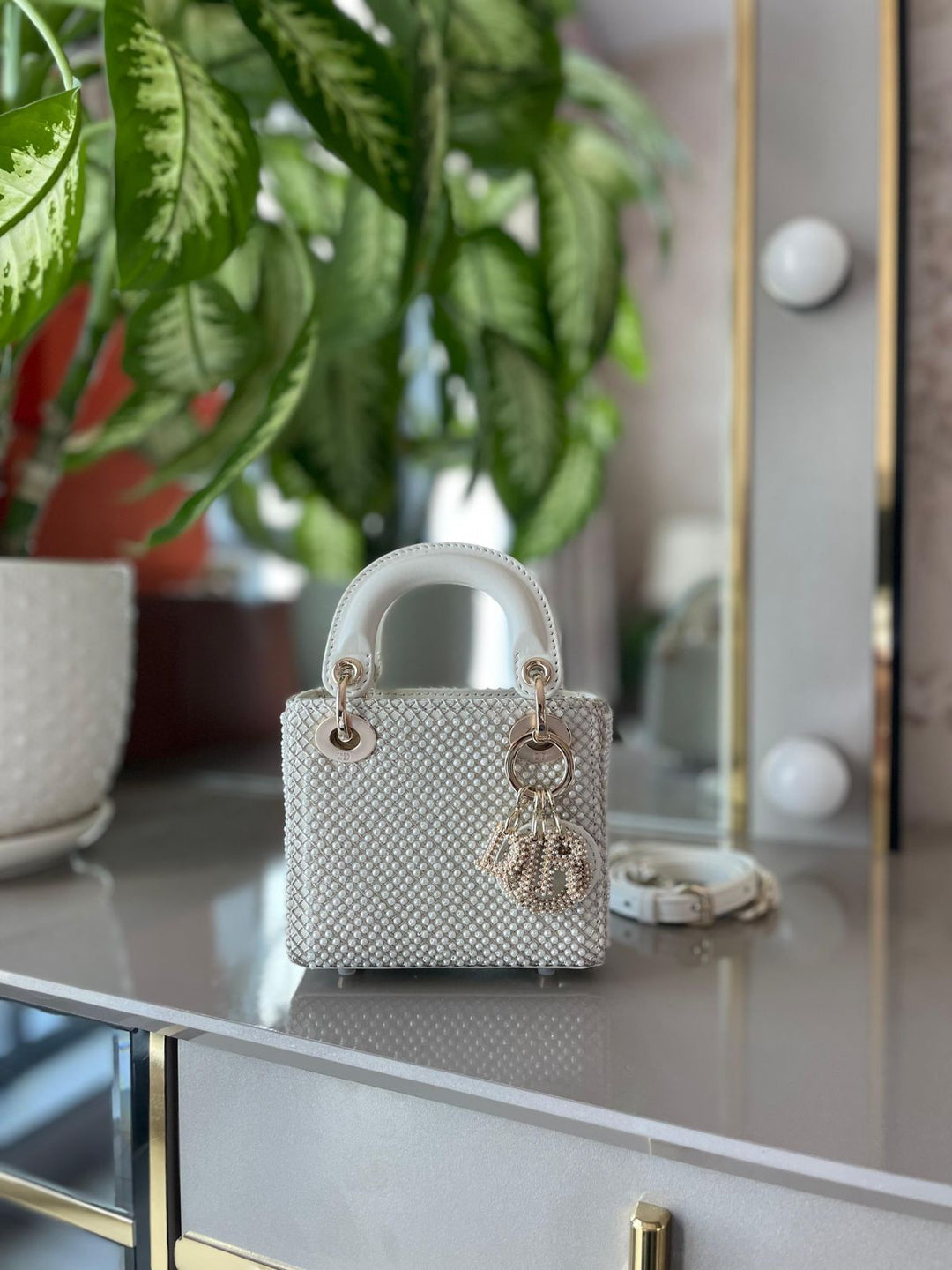 Ladies Dior bags Lilly Onlines