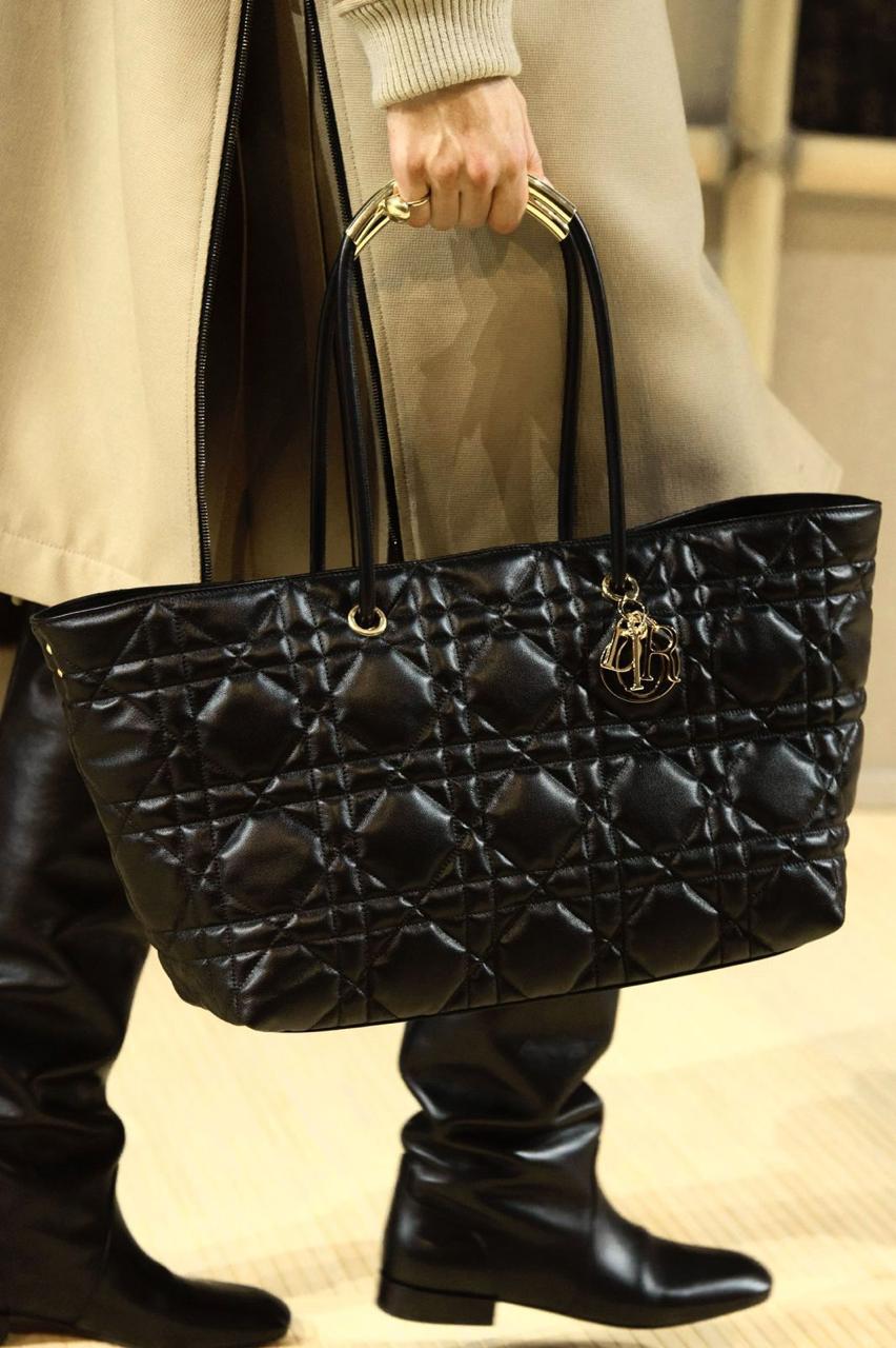 Ladies Dior bags Lilly Onlines