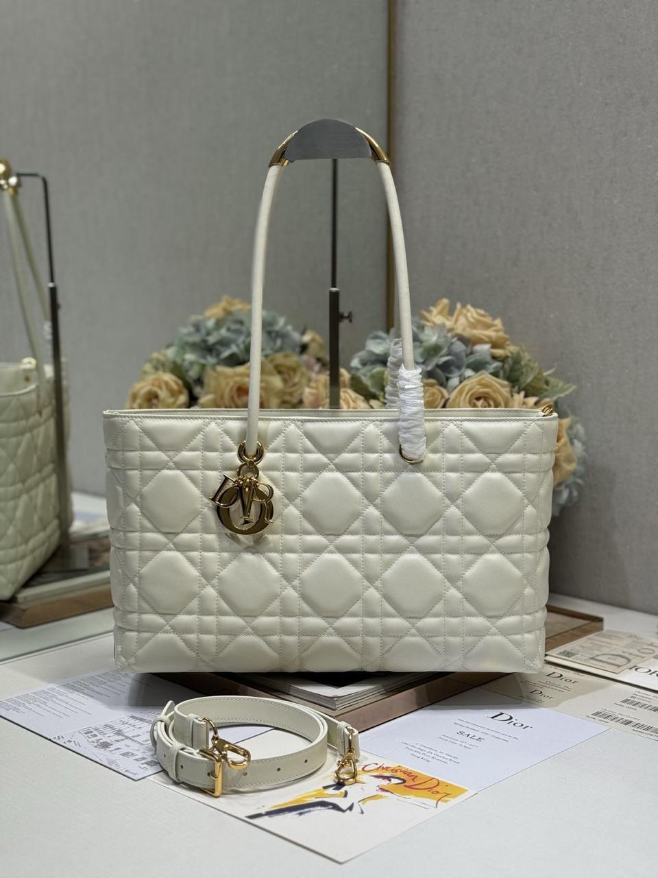 Ladies Dior bags Lilly Onlines