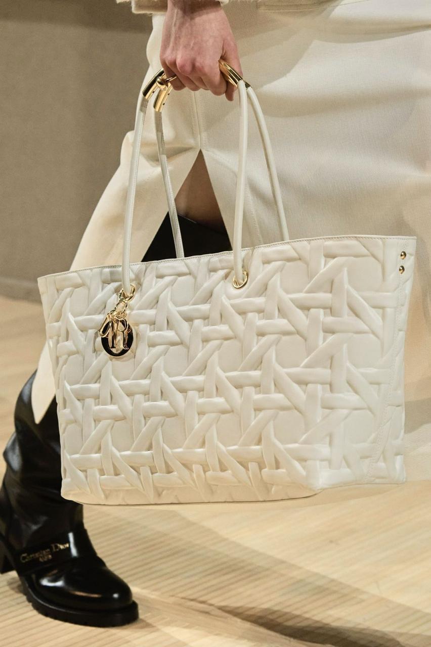Ladies Dior bags Lilly Onlines