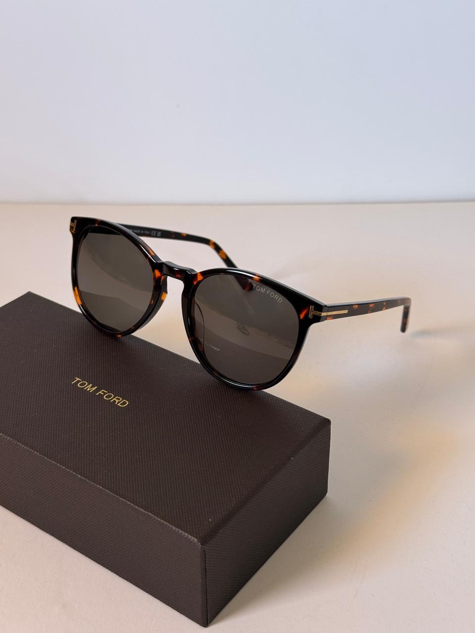 Ladies Sunglasses Lilly Onlines