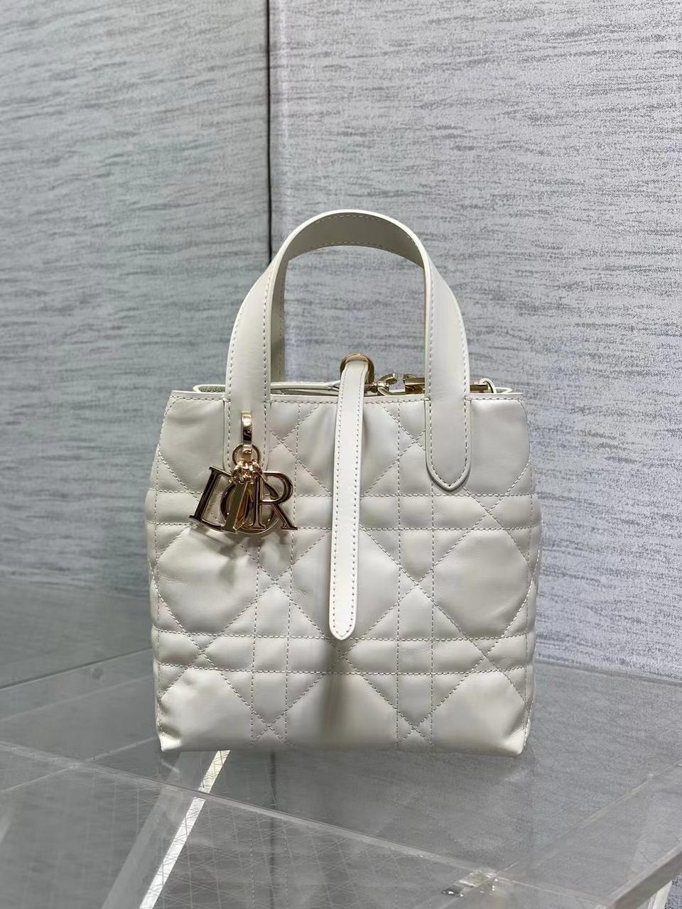 Ladies Dior bags Lilly Onlines