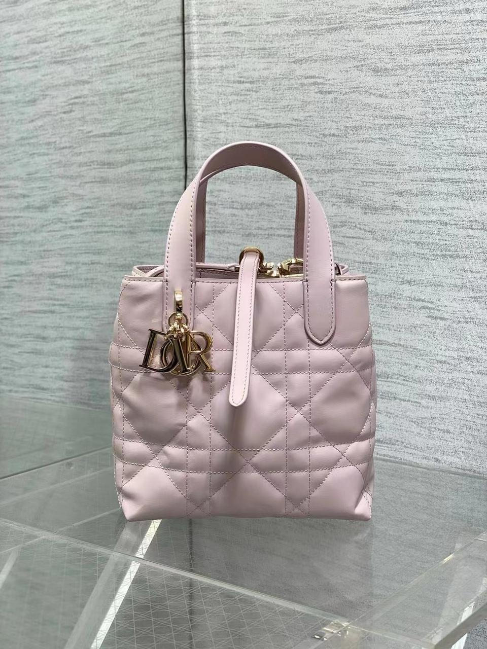 Ladies Dior bags Lilly Onlines
