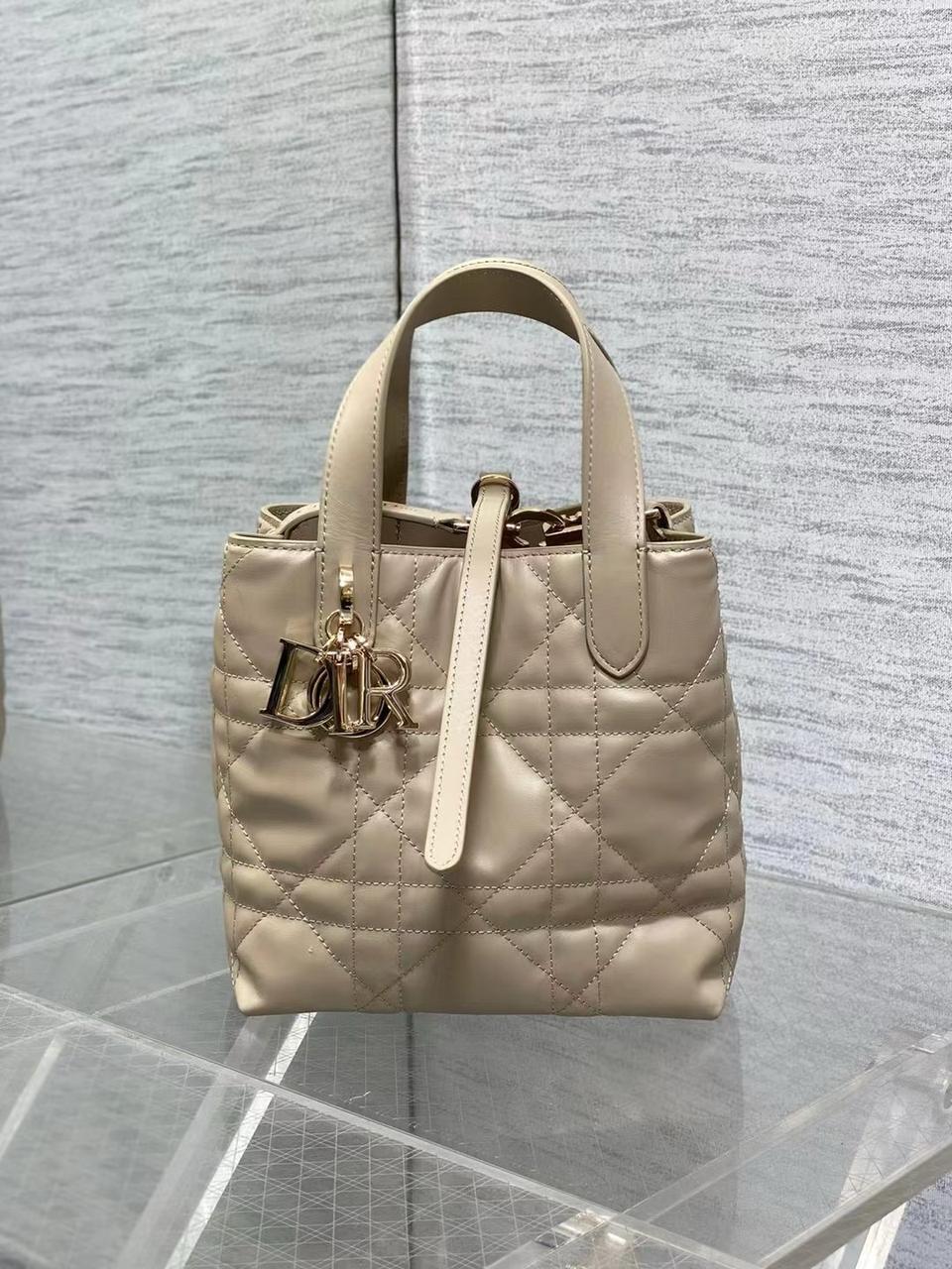 Ladies Dior bags Lilly Onlines