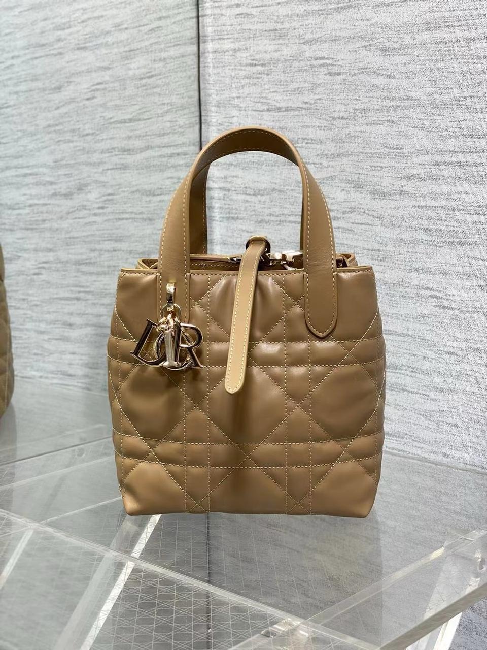 Ladies Dior bags Lilly Onlines
