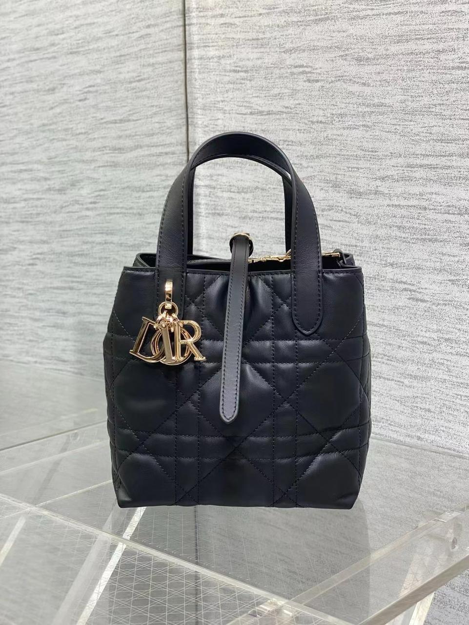 Ladies Dior bags Lilly Onlines