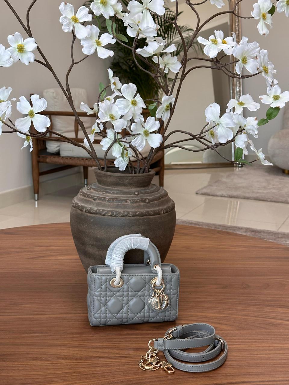 Ladies Dior bags Lilly Onlines