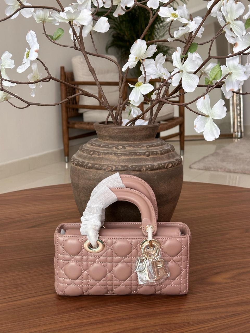 Ladies Dior bags Lilly Onlines