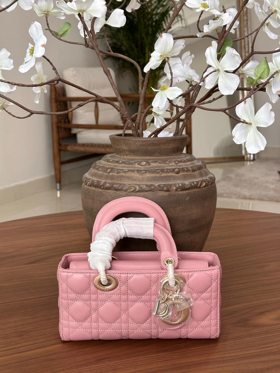 Ladies Dior bags Lilly Onlines