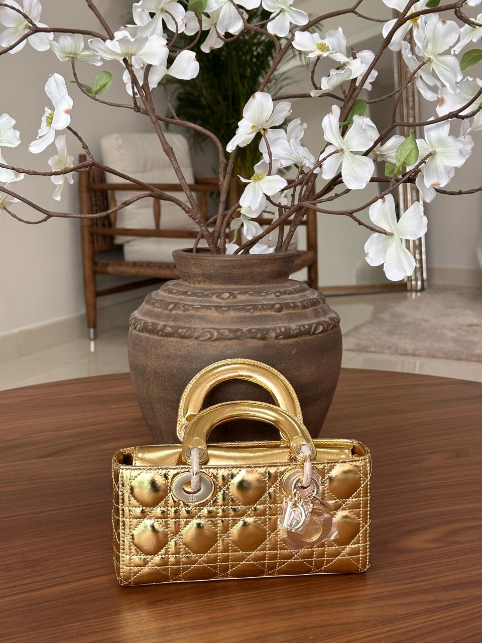 Ladies Dior bags Lilly Onlines