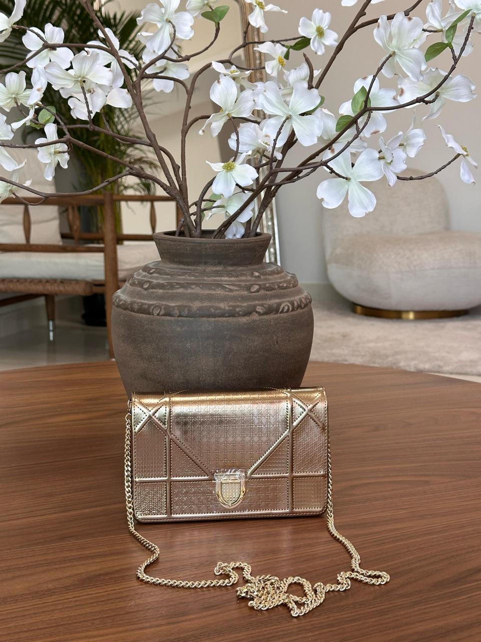 Ladies Dior bags Lilly Onlines
