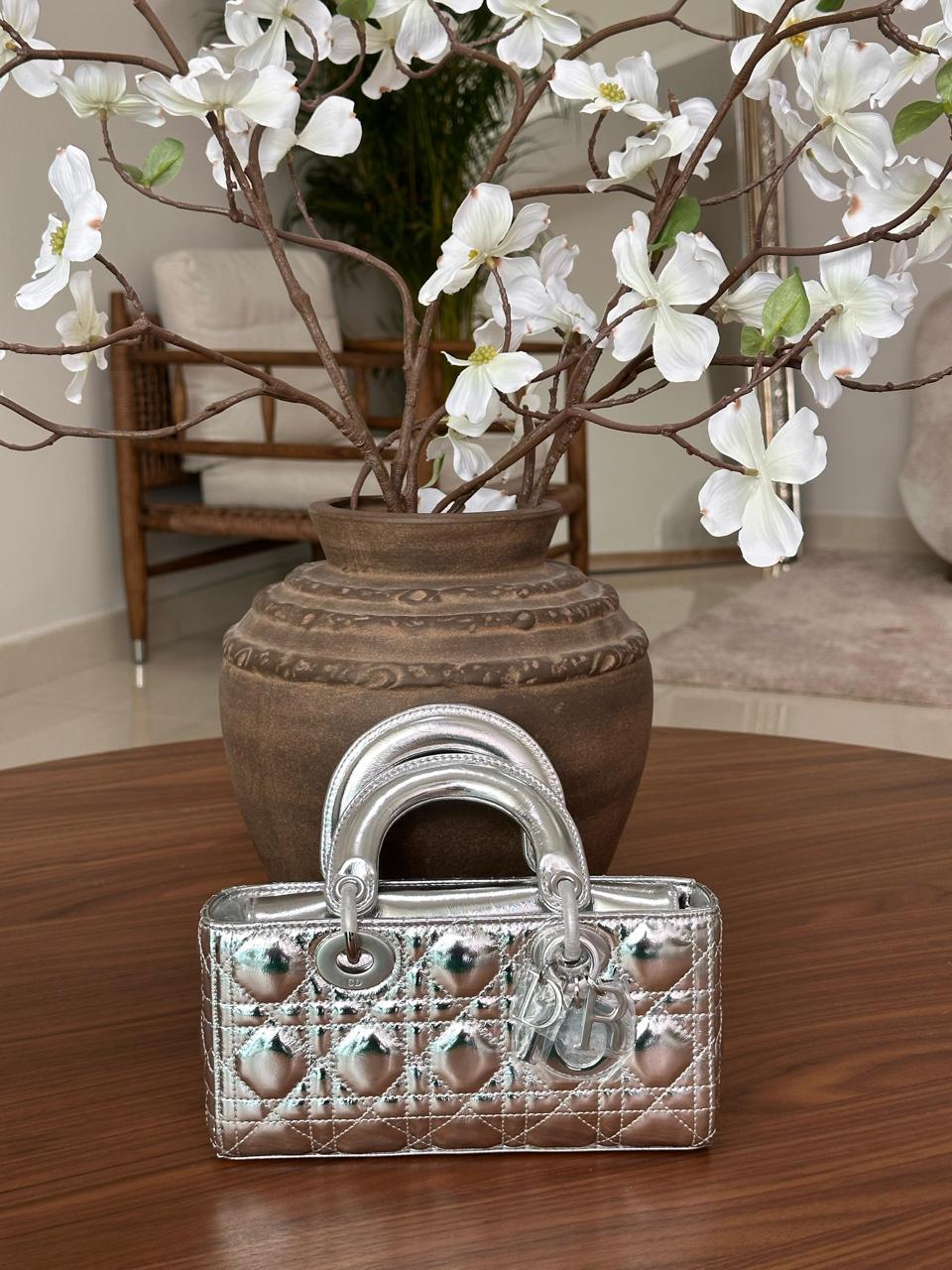 Ladies Dior bags Lilly Onlines