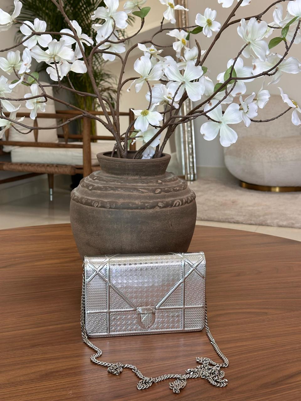 Ladies Dior bags Lilly Onlines