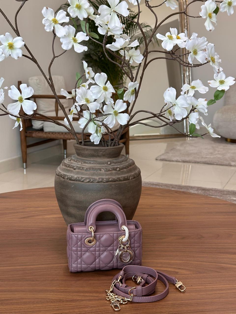 Ladies Dior bags Lilly Onlines