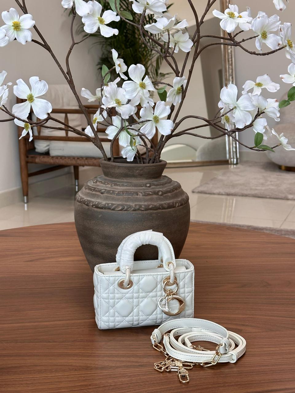 Ladies Dior bags Lilly Onlines