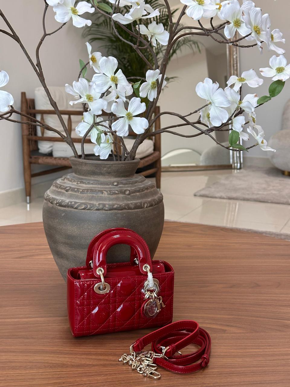 Ladies Dior bags Lilly Onlines
