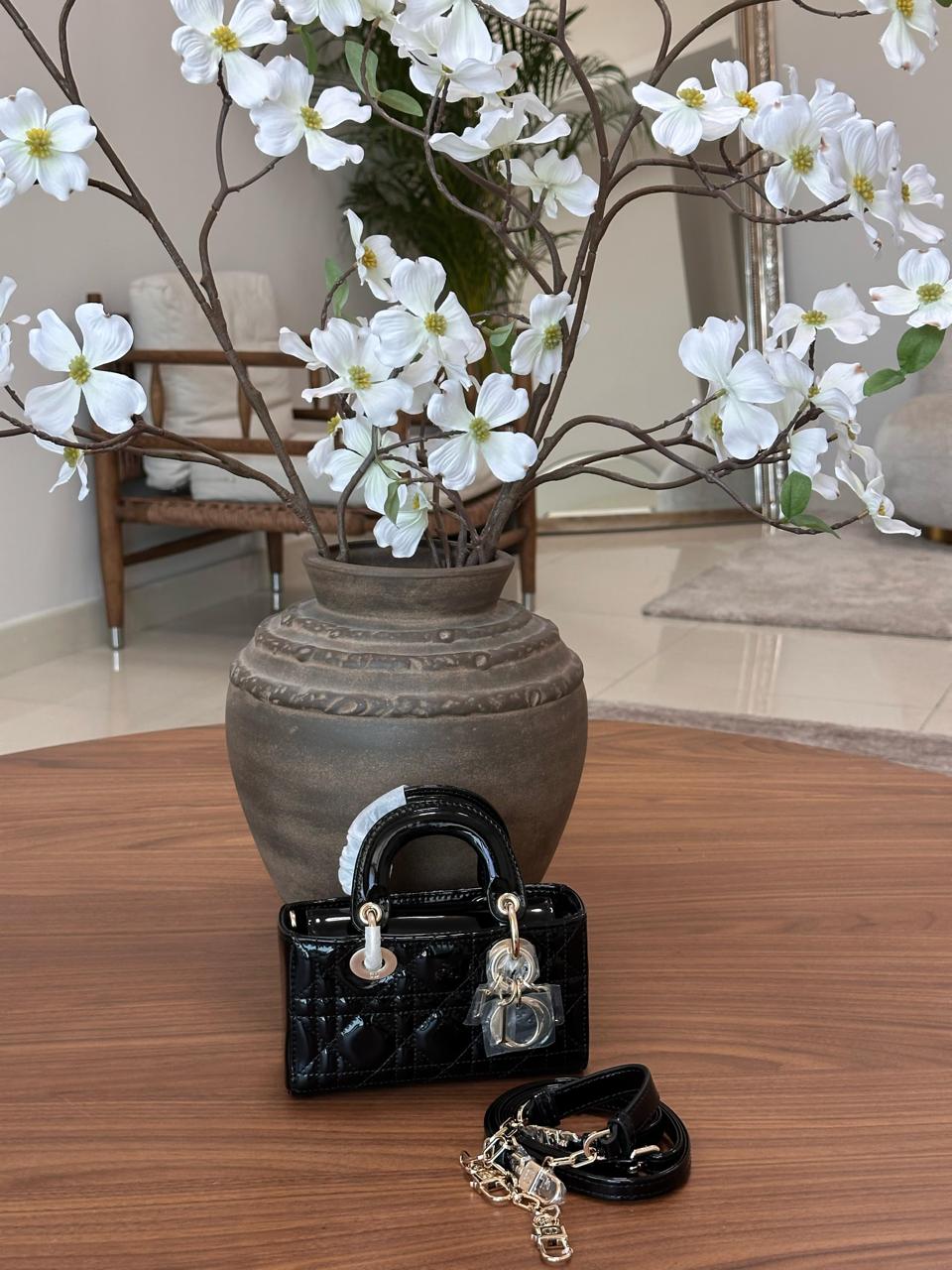 Ladies Dior bags Lilly Onlines