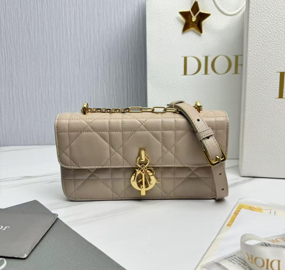 Ladies Dior bags Lilly Onlines