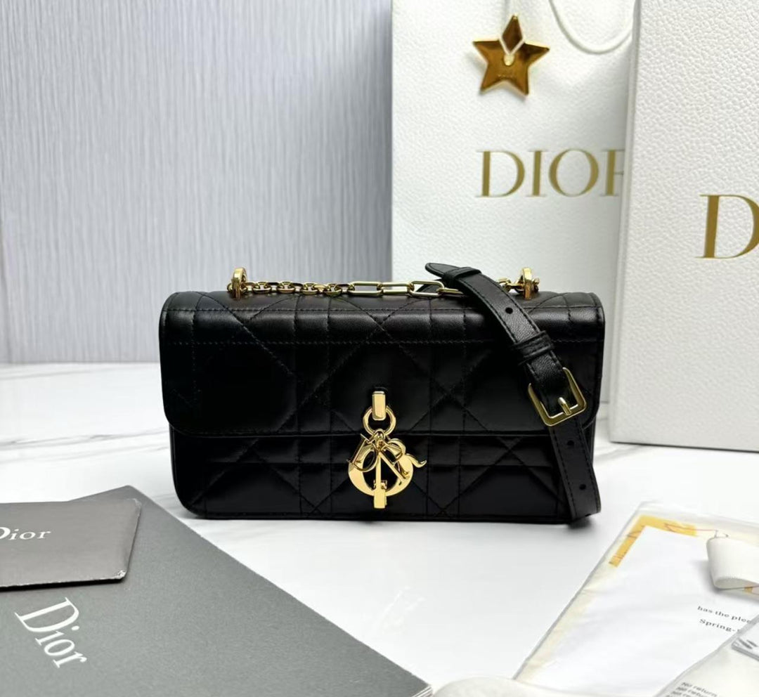 Ladies Dior bags Lilly Onlines