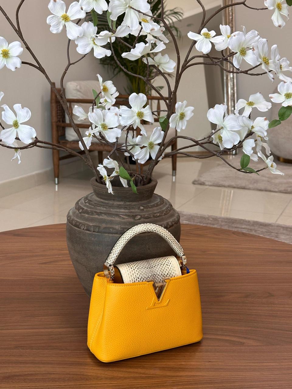 Ladies Lv bags Lilly Onlines