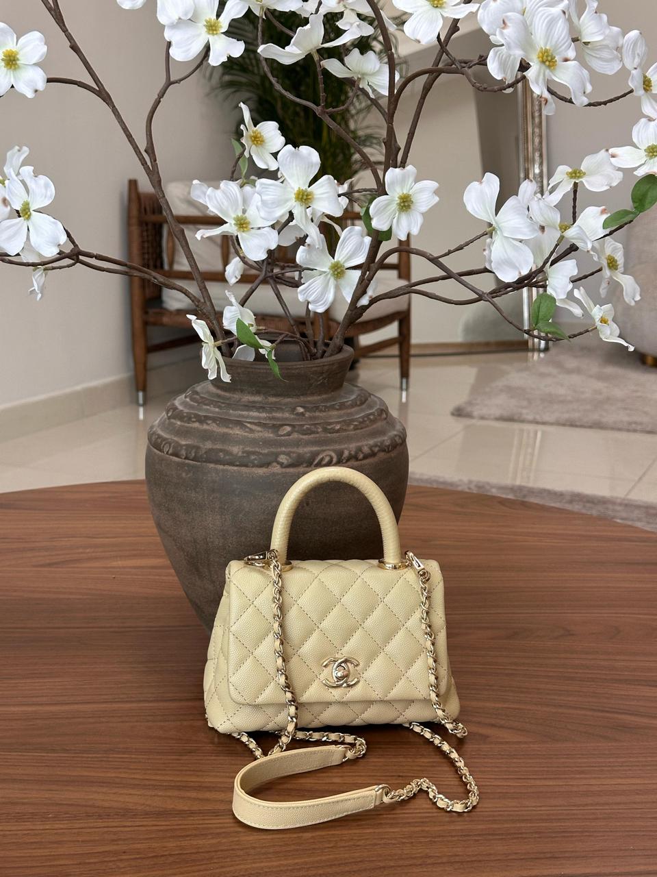 Ladies Chanel bags Lilly Onlines