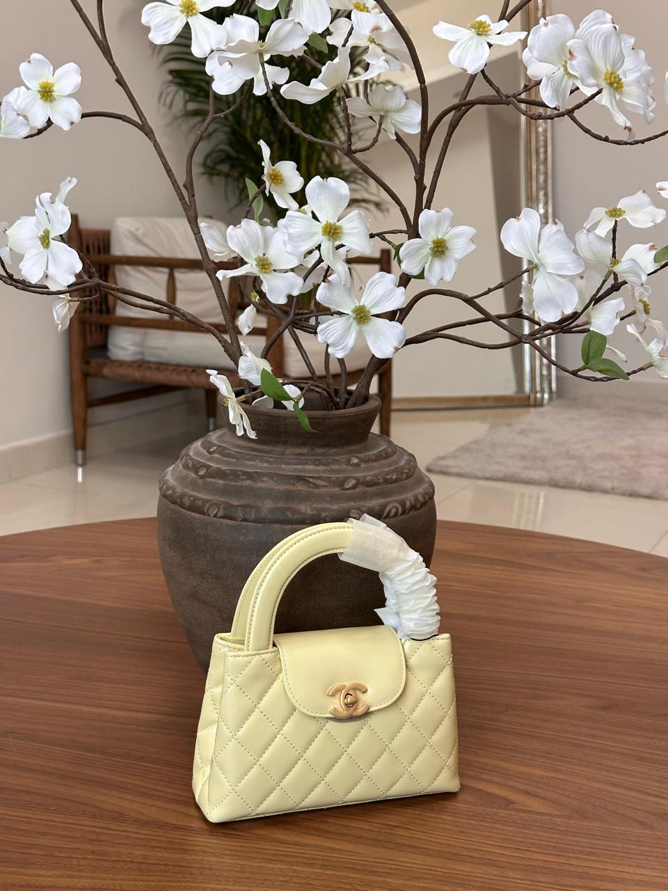 Ladies Chanel bags Lilly Onlines