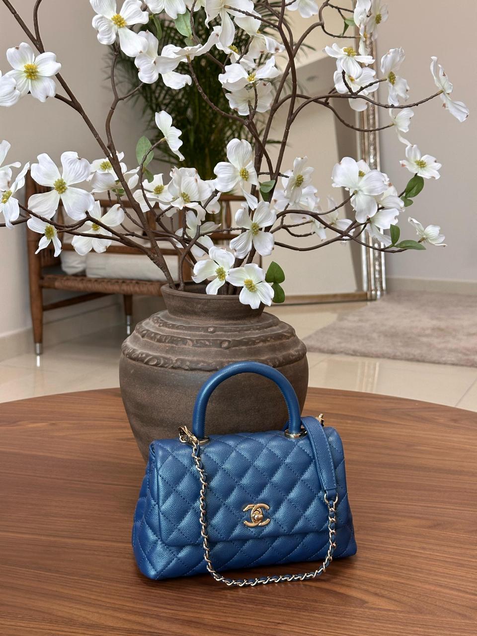 Ladies Chanel bags Lilly Onlines
