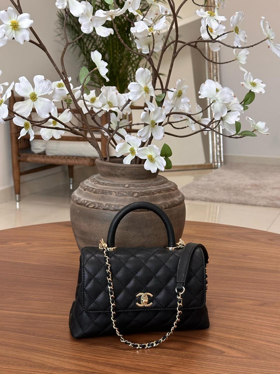 Ladies Chanel bags Lilly Onlines