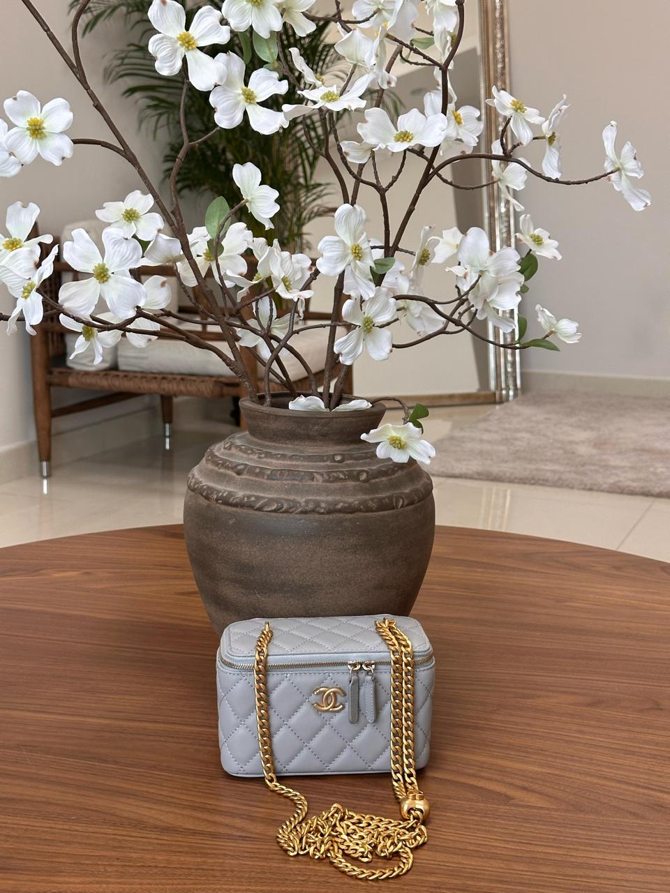 Ladies Chanel bags Lilly Onlines