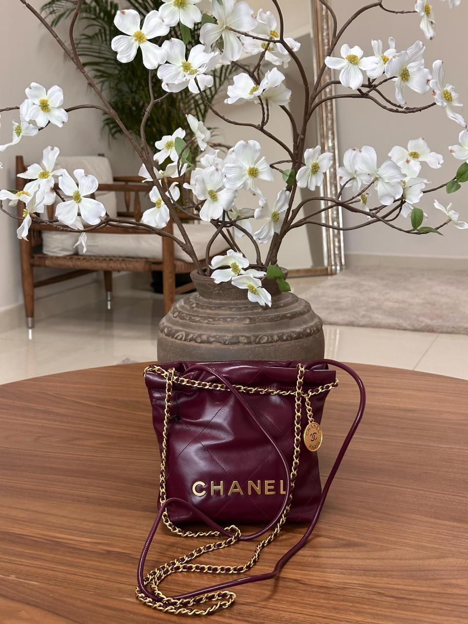 Ladies Chanel bags Lilly Onlines