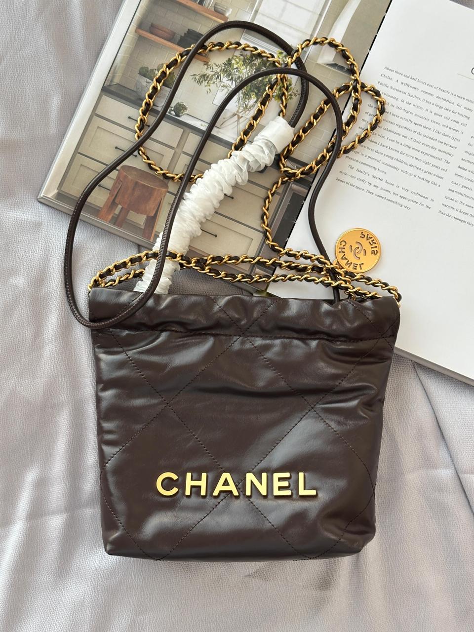 Ladies Chanel bags Lilly Onlines
