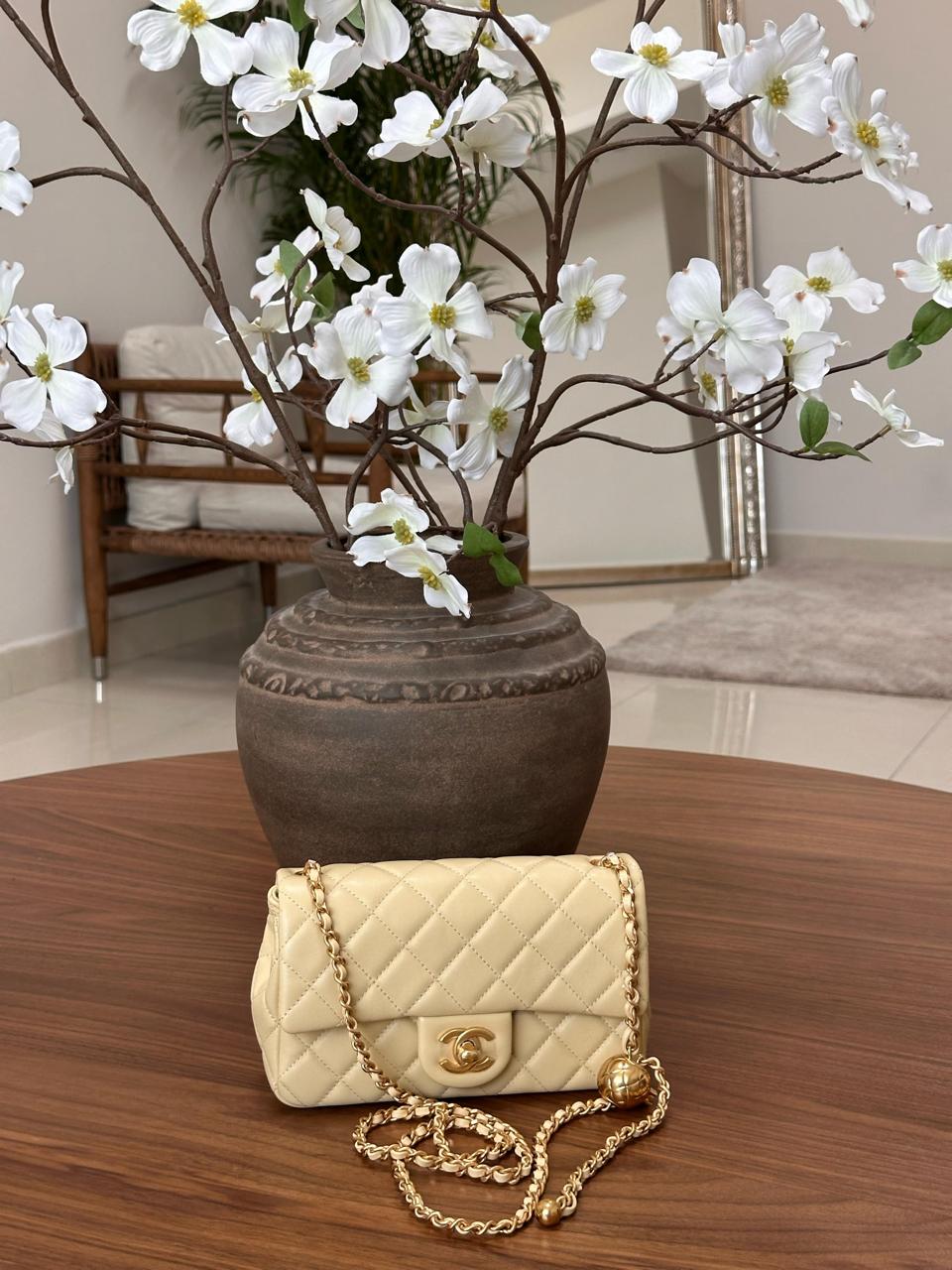 Ladies Chanel bags Lilly Onlines