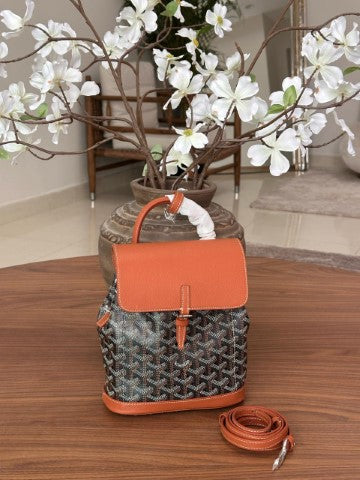 Ladies goyard bags Lilly Onlines