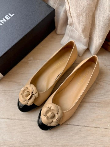 Ladies  shoes Lilly Onlines