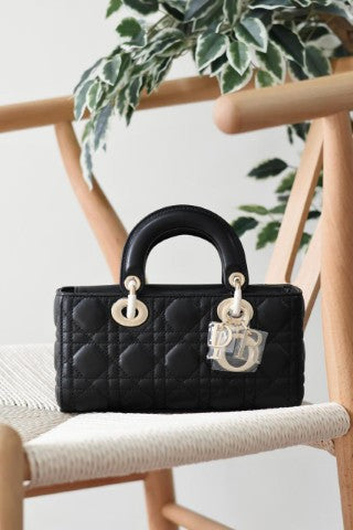 Ladies Dior bags Lilly Onlines