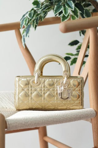 Ladies Dior bags Lilly Onlines