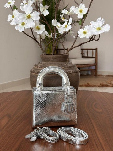 Ladies Dior bags Lilly Onlines
