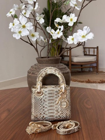 Ladies Dior bags Lilly Onlines